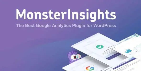 MonsterInsights Pro