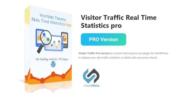 Visitor Traffic Real Time Statistics Pro